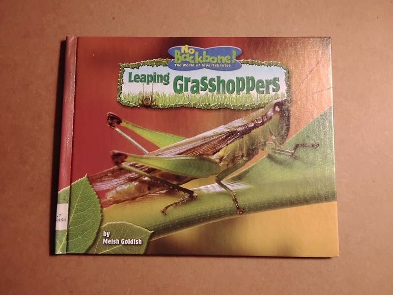 Leaping Grasshoppers by Meish Goldish (2008, Library Binding)