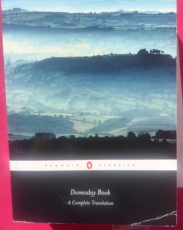 Domesday Book by Martin Soft Cover Book 9780141439945 gallery