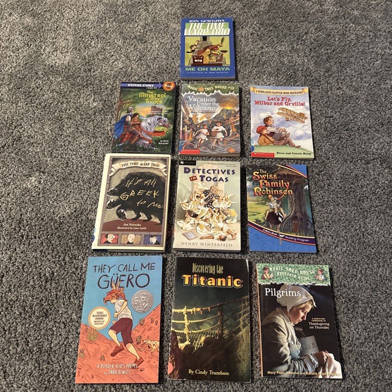 Random Lot Of 10 Children’s Historical Fiction Chapter Books • G/VG Condition