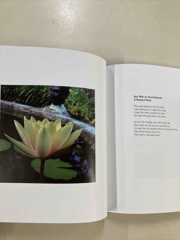 Anne Spencer Revisited A Companion to the Film HC DJ 2008 Book & DVD Set K Lee gallery