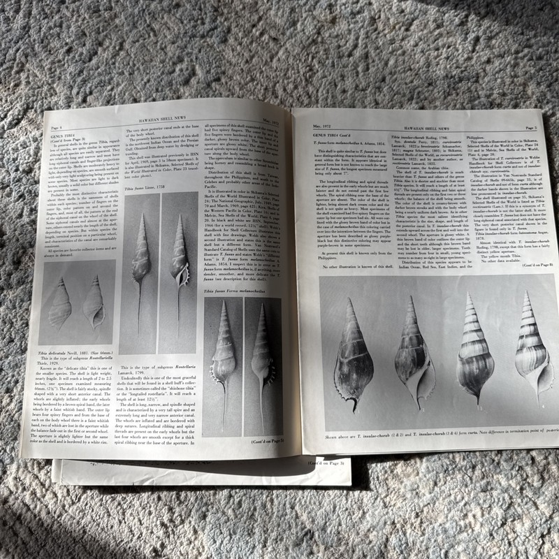 Hawaiian Shell News,educational publication Hawaiian Malacological Society 1972 gallery
