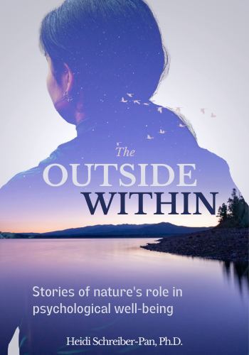 The Outside Within by Schreiber-Pan, Heidi