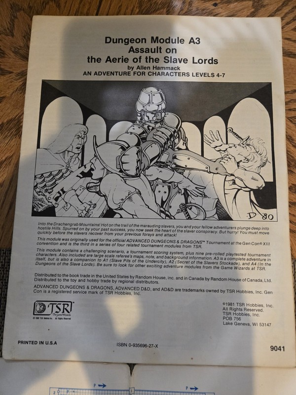 Advanced Dungeons & Dragons Module A3 Assault on the Aerie of the Slave Lords gallery