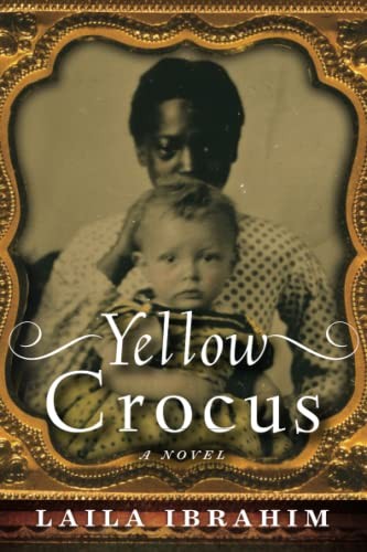 Yellow Crocus by Ibrahim
