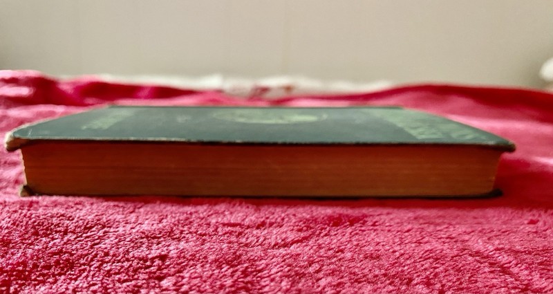 1918 HC copy of The Bobbsey Twins On The Deep Blue Sea by Laura Lee Hope gallery