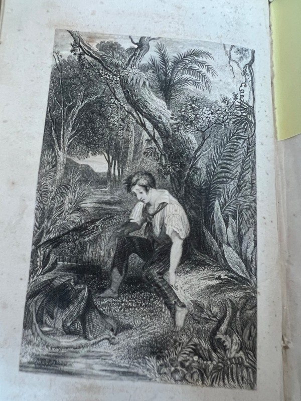 1859 GOLD RUSH California & Australia Three Years' Wanderings C.M. Welles 1st Ed gallery