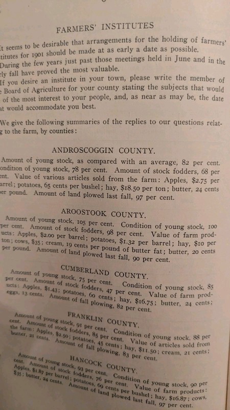 Bulletin Of The Maine Board Of Agriculture: THE POTATO, April 1901, PB, 39 Pages gallery