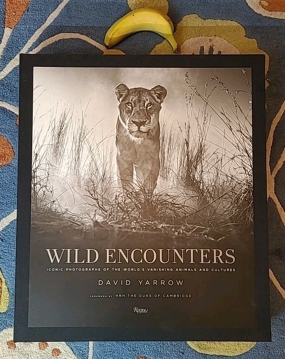 Wild Encounters David Yarrow 24 By 21 Inch Production Proof NOT Numbered Signed