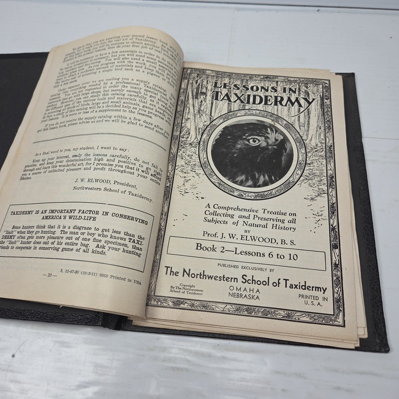J.W. Elwood Lessons in Taxidermy Complete Book 1-9, Lessons 1-40 Vintage gallery