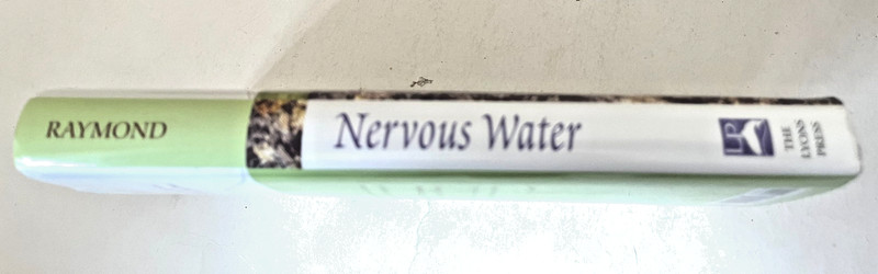 Nervous Water: Variations On A Theme Of Fly Fishing by Steve Raymond 2006 gallery