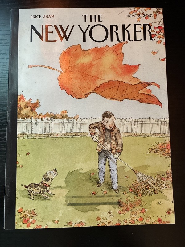 The New Yorker Full Magazine NOV 6 2017
