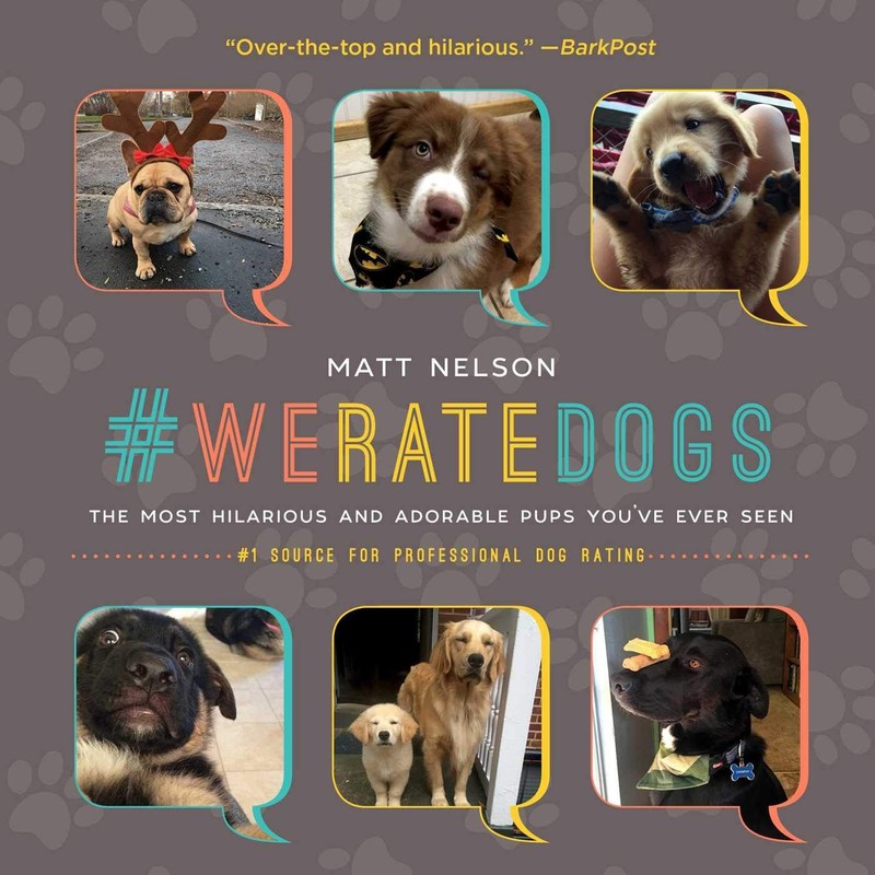 We rate dogs: The most adorable and hilarious pups you’ve ever seen – hard…