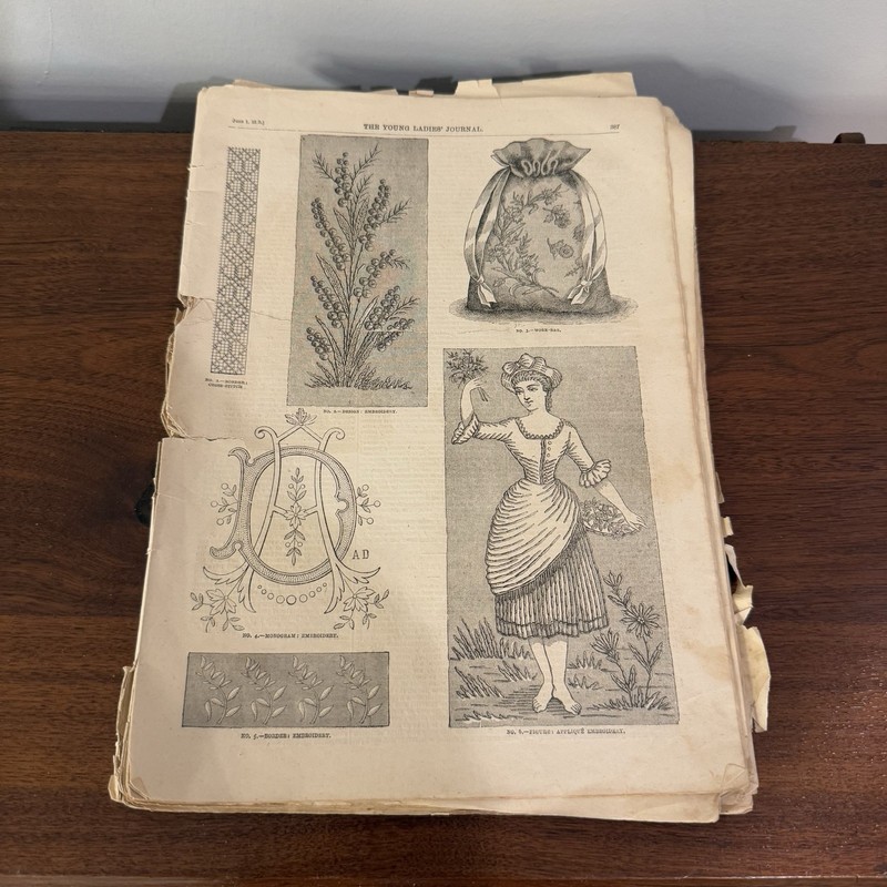 June 1st 1895 Young Ladies Journal - 1800s Weekly Fashion Women's Magazine RARE gallery
