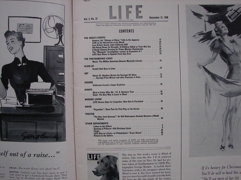 December 12, 1938, Vintage Life Magazine Chocolate Labrador Retriever L138 gallery