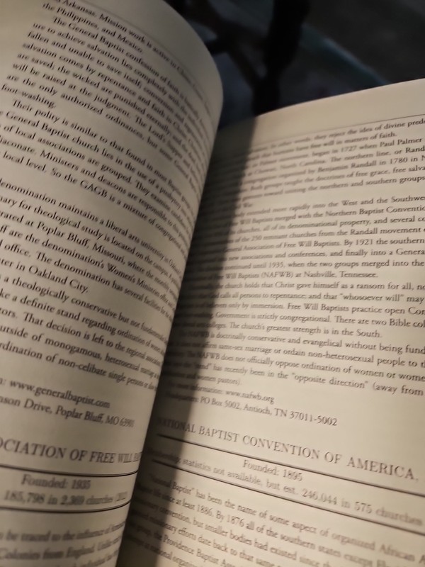 Handbook Of Denominations In The United States 14th Ed Olson HC Like New Cond O4 gallery