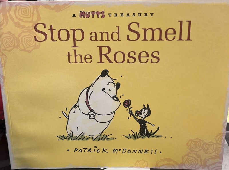 MUTTS~Patrick McDonnell Lot 9~GIFT-SHELTER-WAG-JANE-WILD-ROSES-KING-YESH-SIGNATU gallery