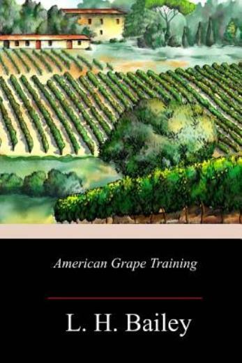American Grape Training