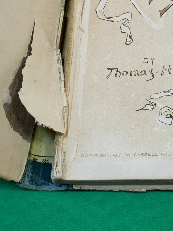 Thomas Hood, Alice Wheaton Adams, TOM TUCKER AND LITTLE BO-PEEP, 1891, HC gallery