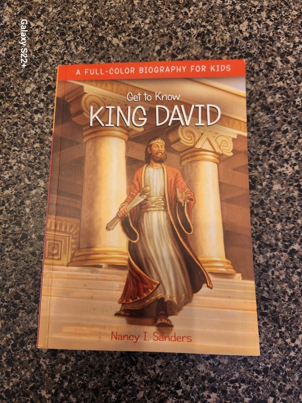 Get To Know King David By Nancy I. Sanders, Full Color Biography Book For Kids