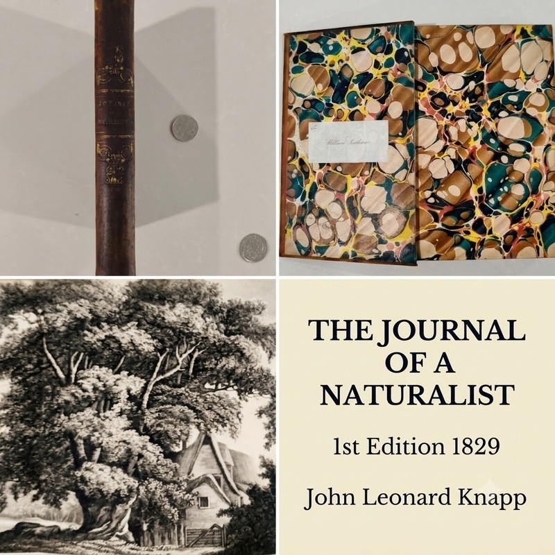 The Journal of a Naturalist 1829 1st Ed John Murray J.L. Knapp Rare Antique Book