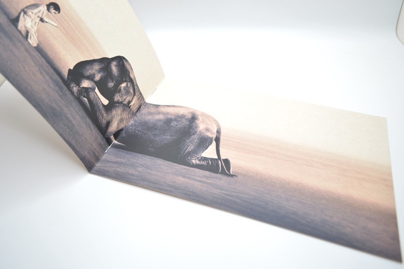 Gregory Colbert, Ashes and Snow, Nomadic Museum, 2006, Exhibition Brochure, Film gallery
