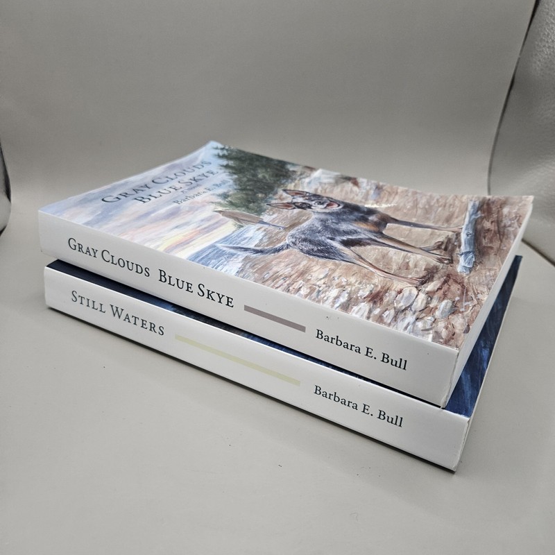 Gray Cluds Blue Skye & Still Waters By Barbara E. Bull PB Books