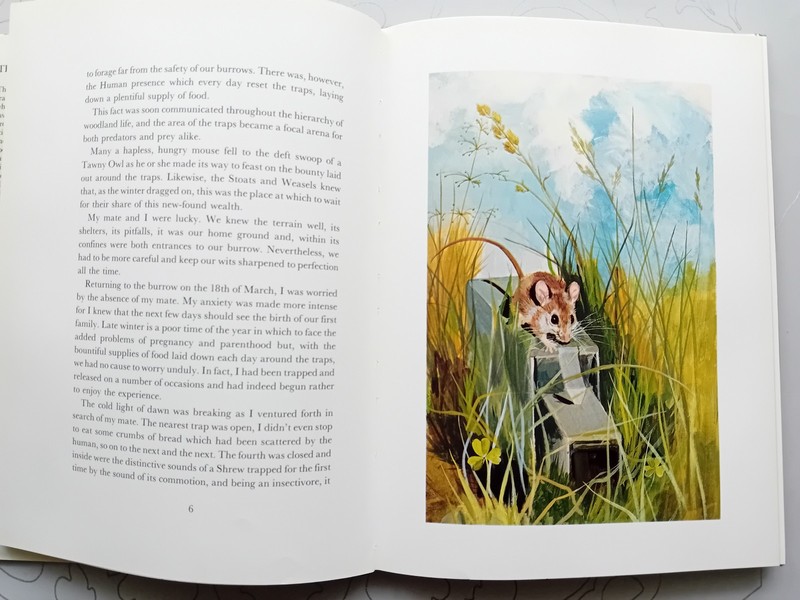 The Mouse Book - David Bellamy & Sheila Mackie - Hardcover - Oriel Press 1983 gallery