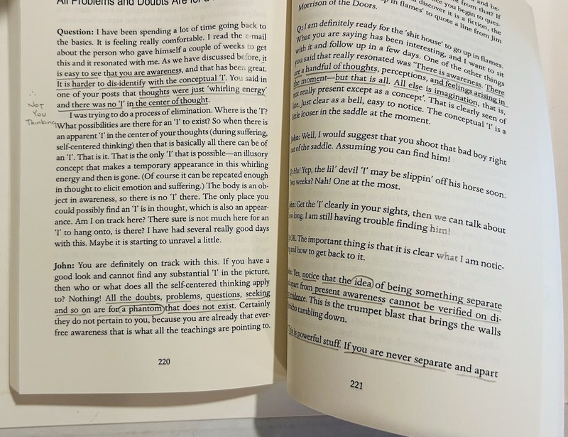 Shining In Plain View by John Wheeler & Non-Duality Press, Paperback 2005 gallery