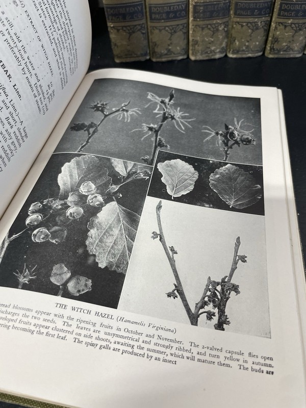 Lot of 8 Volumes of The New Nature Library 1920s 1922/1923 RARE gallery