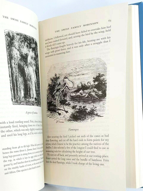 THE SWISS FAMILY ROBINSON Johann Rudolf Wyss Faux Leather Bound Illustrated NEW gallery