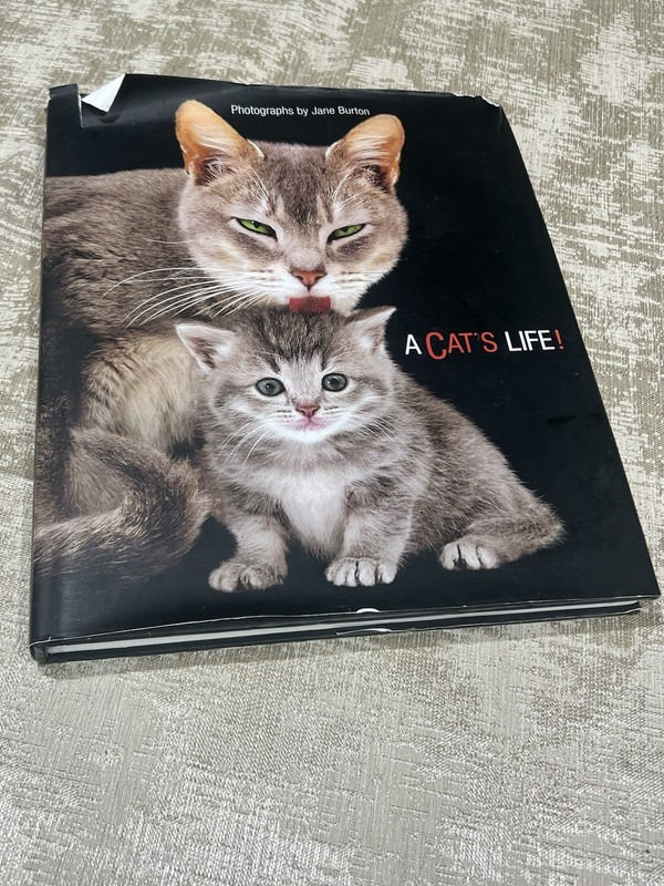 A Cat’s Life! Hardcover Picture Book by Jane Burton Fall River Press Illustrated