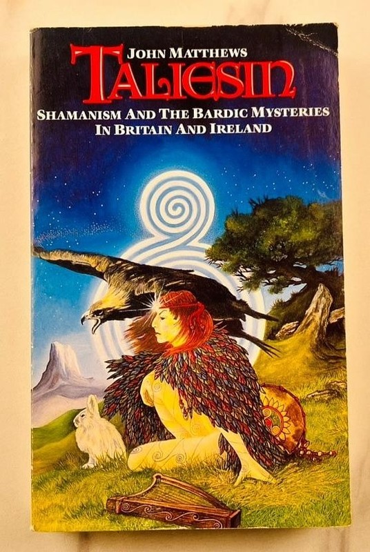 Taliesin John Matthews 1991 Aquarian Celtic Shamanism Bardic Mysteries Druid PB