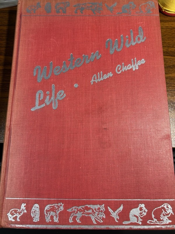 Western Wild Life by Allen Chaffee HC 1946 205 pages VTG