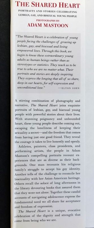 THE SHARED HEART by Adam Mastoon - 1997 - 1st Edition gallery