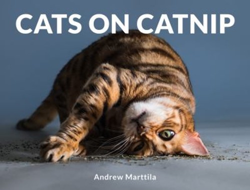 Cats on Catnip Hardcover Andrew Marttila