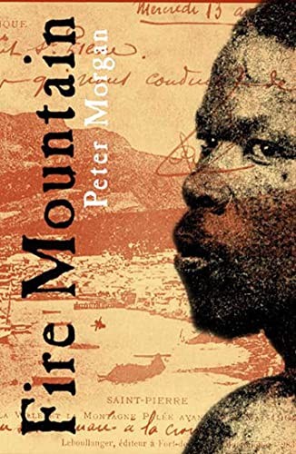 Fire Mountain: How One Man Sur – GOOD