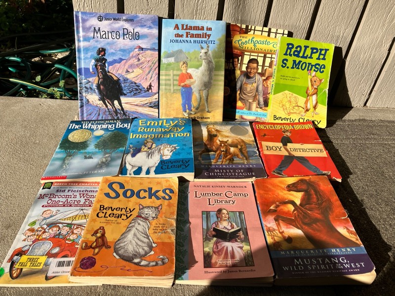 Lot 12 SONLIGHT Homeschool Curriculum Readers Books Fourth Grade 4