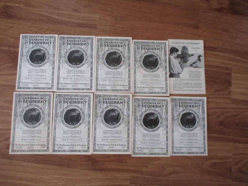 J W Elwood 1935 Lessons In Taxidermy Books 1-9 Lessons 1-40 & Lesson Book 2-S