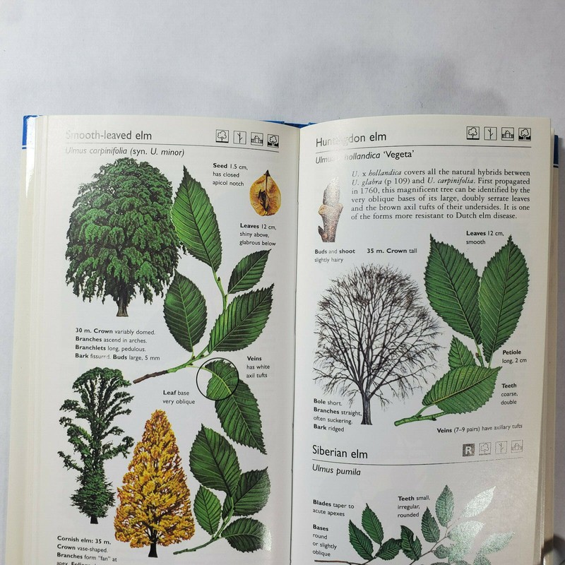 The Mitchell Beazley Pocket Guide to Trees by Keith Rushforth gallery