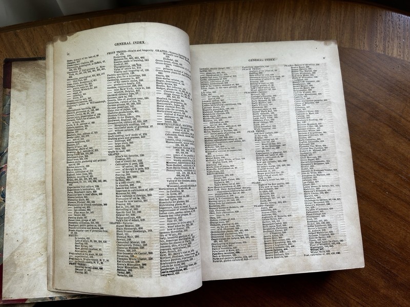 1848 -49 The Horticulturist Vol III AJ Downing Journal Rural Farm Life 1st Ed gallery