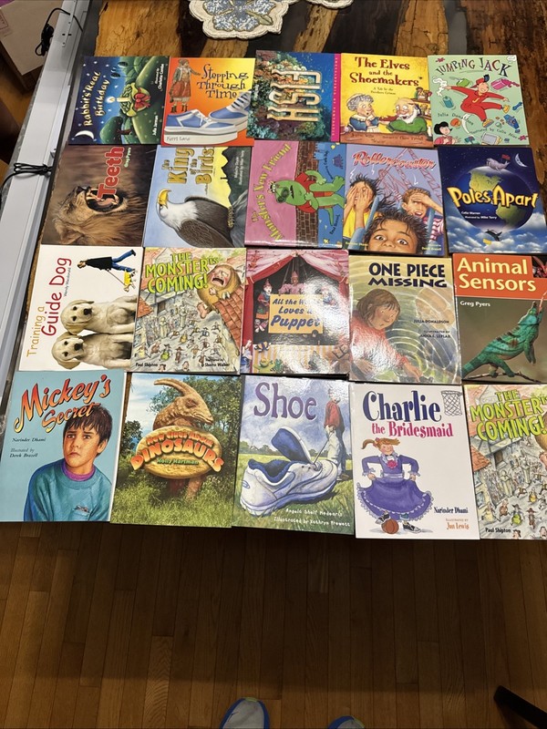 Lot of 20 Rigby Literacy Levels 15-17 Readers-Homeschool