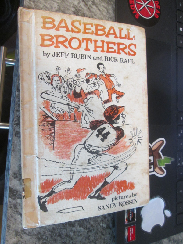 BASEBALL BROTHERS : by Jeff Rubin & Rick Rael vintage classic baseball book