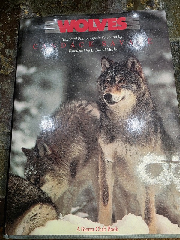 «WOLVES» by Candace Savage, intro by L David Mech. 1988. HBwDJ, 159 pages, VG