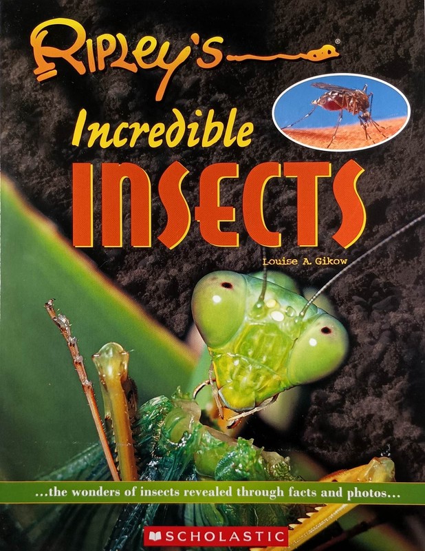 Ripley’s Incredible Insects by Louise A. Gikow / 2004 Scholastic Paperback