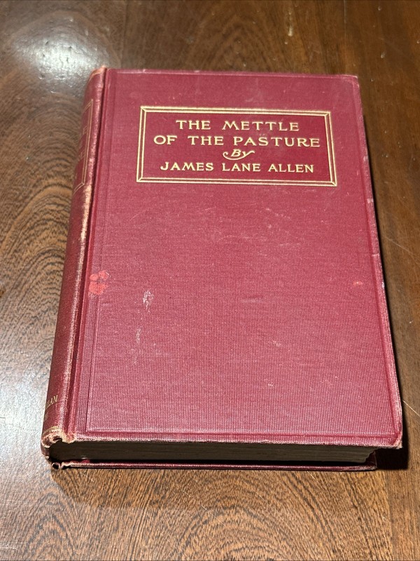 1903 The Mettle of the Pasture By James Lane Allen ~ HC B-111325