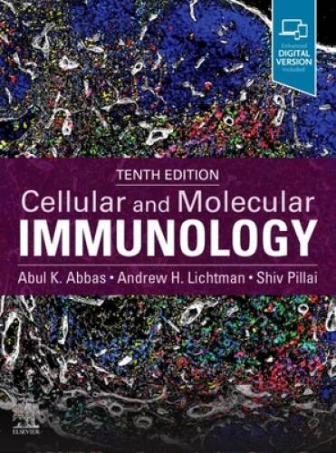 Cellular and Molecular Immunology – Paperback By Abbas MBBS, Abul K – GOOD