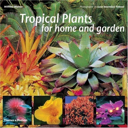 Tropical Plants for Home and Garden – Paperback By William Warren – VERY GOOD