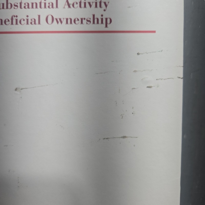 Substance in International Tax Law: DEMPE Approach, Substantial Activity Requ... gallery