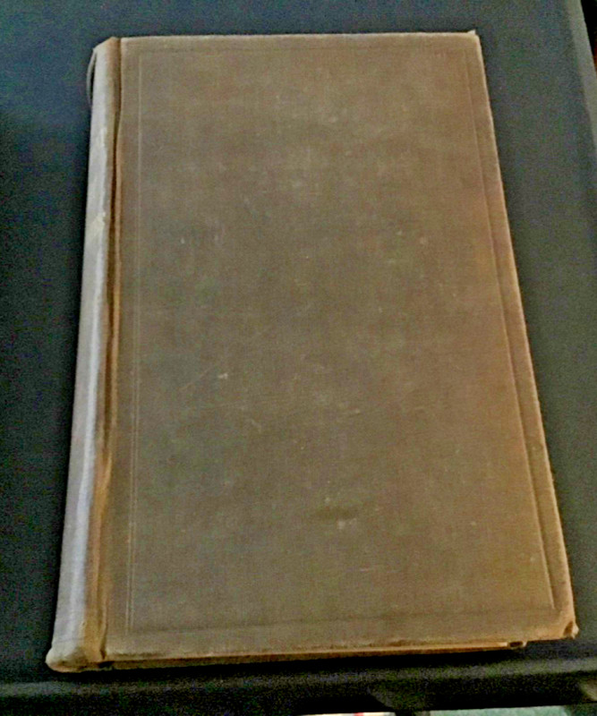 Rare OLD Revised New Testament With History&American Notes 1881~William T.Amies