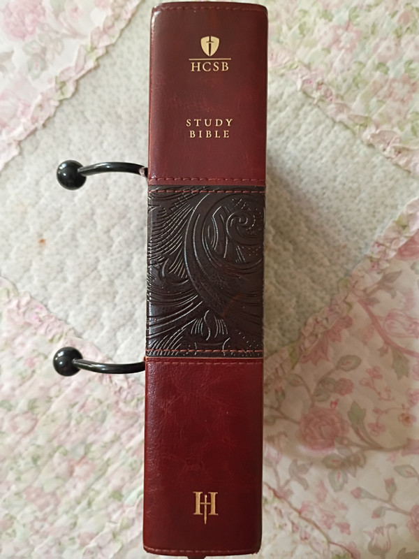 HCSB Study Bible, Mahogany LeatherTouch by The HCSB Translation Team (2012,…